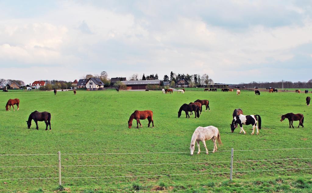Ferienwohnung Bergblick Xanten Exterior foto